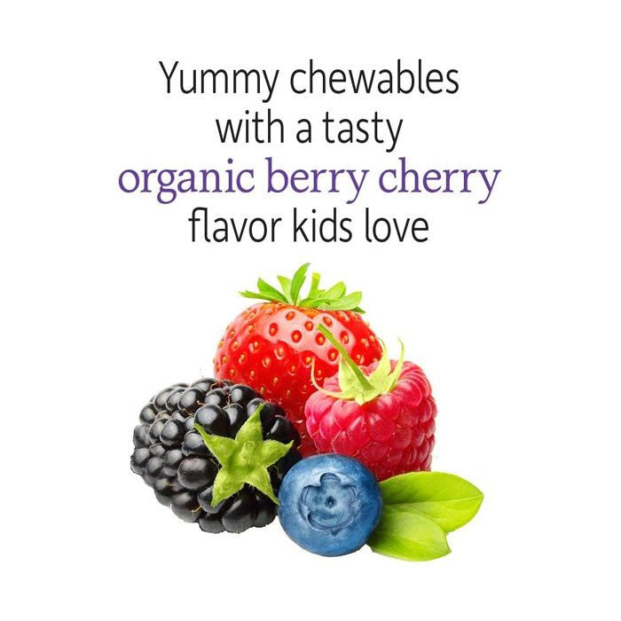 Garden Of Life Dr Formulated Probiotics Organic Kids+ 30 Chewable Garden of Life
