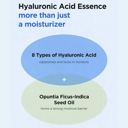 Isntree Hyaluronic Acid Water Essence Hyaluronic Acid Serum 50ml Isntree